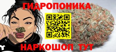 метадон Котовск