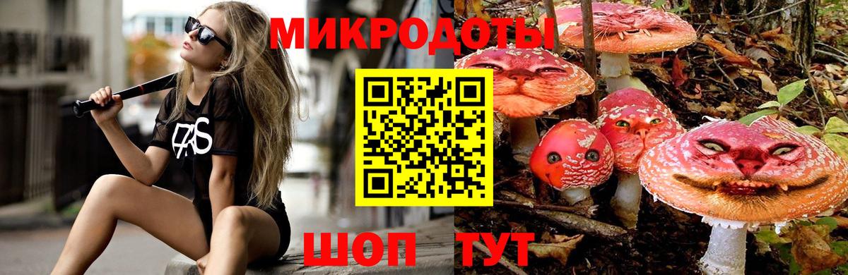 Псилоцибиновые грибы прущие грибы  наркотики  Братск  Вход с VPN  Галлюциногенные грибы Magic Shrooms 